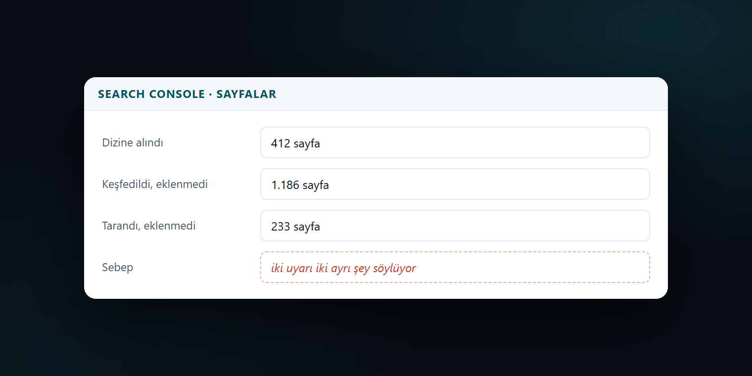 Search Console sayfalar raporunda keşfedildi ve tarandı ancak dizine eklenmedi uyarılarının sayfa sayılarıyla birlikte görünümü